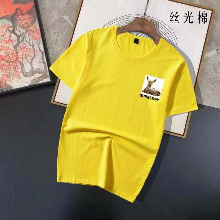Picture of Burberry T Shirts Short _SKUBurberryM-4XL11lx0520209